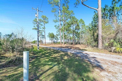 0 Canal Rd unit 2 375587, Orange Beach, AL 36561 - photo 6