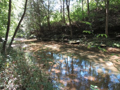 CREEK 3