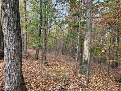 IMG_6784