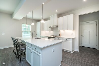 Kitchen 2 - 1157 Spring Meadow Way-1