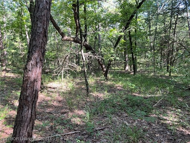 2021 Goats Bluff Rd, Wister, OK 74966 - photo 5