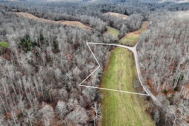 0 Kirkland Rd unit RTC3059615, Indian Mound, TN 37079 - photo 5