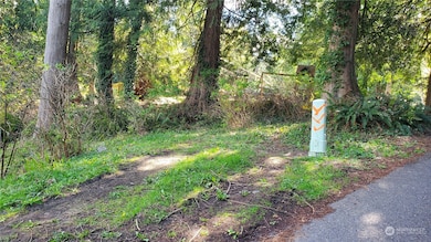 750 West Rd, Sedro Woolley, WA 98284 - photo 3