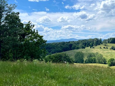 TBD Curry Rd, Mount Solon, VA 22843 - photo 3