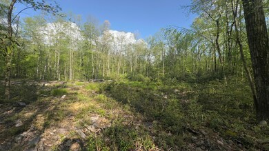 0 Butternut Road & Mahogany Rd, Jim Thorpe, PA 18229 - photo 2