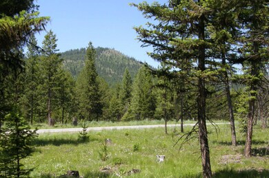 1212 Rogers Mountain Loop, Libby, MT 59923 - photo 2