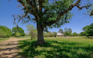30670 Joseph Rd, Hockley, TX 77447 - photo 6