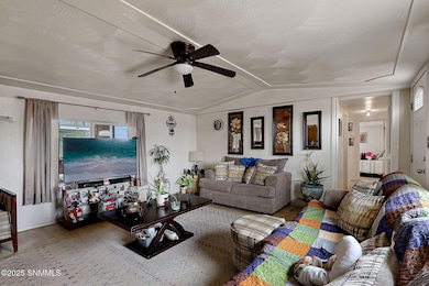 800 E Lisa Dr, Chaparral, NM 88081 - photo 3