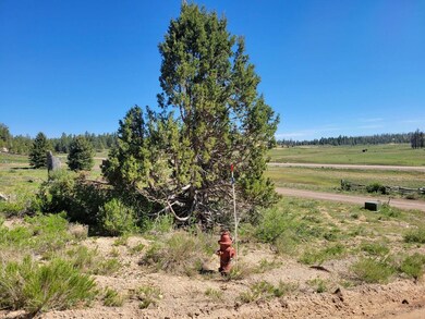 Fire Hydrant and a tree on lot