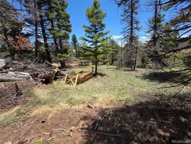 53 Trail Dr, Cotopaxi, CO 81223 - photo 7