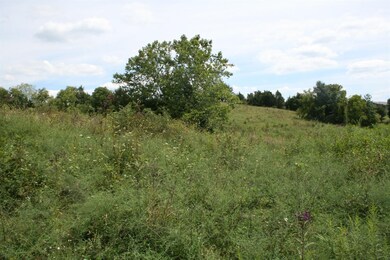 966 Manns Rd, Harrodsburg, KY 40330 - photo 2