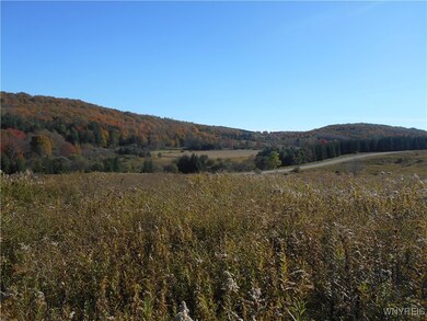 4738 Roszyk Hill Lot #2 Rd, MacHias, NY 14101 - photo 6