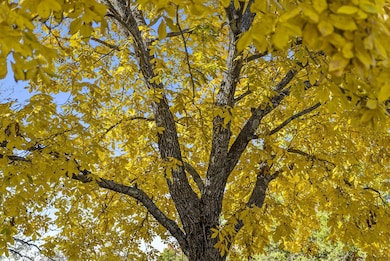 207 Bar M Ln unit 23, Branson West, MO 65737 - photo 4