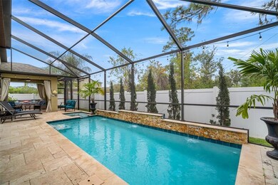 Your own Saltwater Pool and Spa