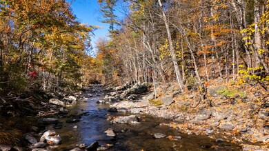 3207-3209 New York 212, Bearsville, NY 12409 - photo 2