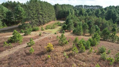 ON Forest Rd unit 1.9 ac, Tomahawk, WI 54487 - photo 5