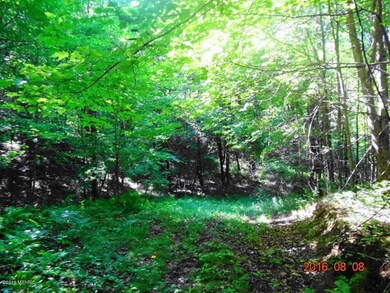 0 Par A Centerline, White Cloud, MI 49349 - photo 6