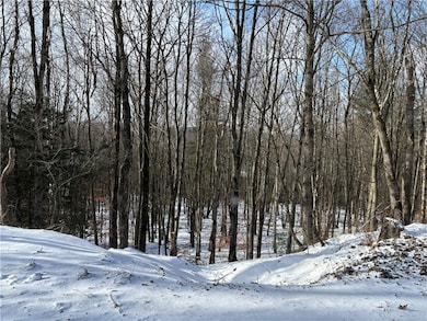 0 Smokey Ave unit R1652919, Westford, NY 12155 - photo 6