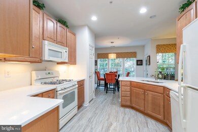 2605 Clarion Ct unit 202, Odenton, MD 21113 - photo 6