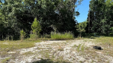 8045 NE 307th Ave, Fort Mc Coy, FL 32134 - photo 2