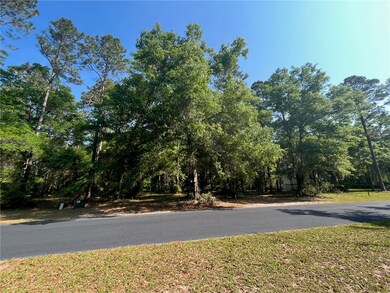 Lot 545
