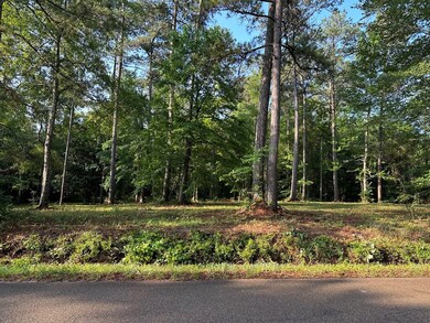 000 Perrott Rd, McComb, MS 39648 - photo 5