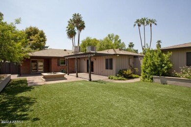 232 backyard3