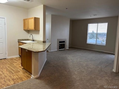 6005 Castlegate Dr W unit B27, Castle Rock, CO 80108 - photo 6