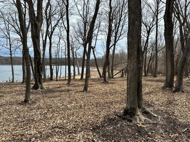 xxx Honeysuckle Ln SW, Kensington, MN 56343 - photo 2