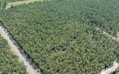 TBD 180th St, Live Oak, FL 32060 - photo 6