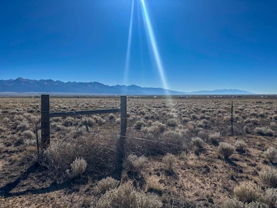 56501 Ewing Rd, Moffat, CO 81143 - photo 3