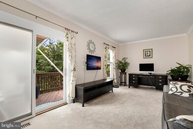 7372 Stream Way, Springfield, VA 22152 - photo 7