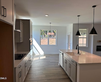 1108 Prominence Dr, Durham, NC 27712 - photo 5