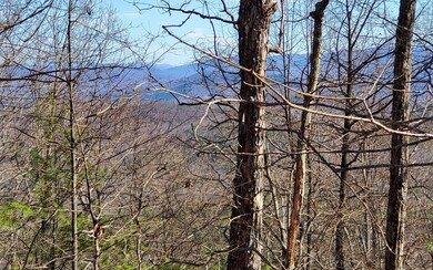 Additional View