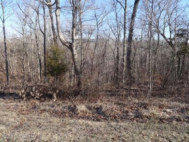 288 Park Ridge Dr, Mount Washington, KY 40047 - photo 6