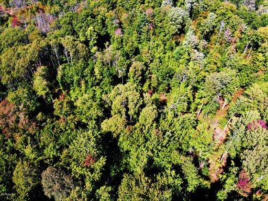 DJI_0389