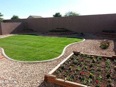 Backyard 1