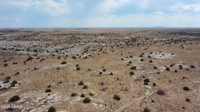 2025-08-07-15-08-21-764