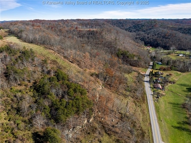 4674 Parkersburg Rd, Reedy, WV 25270 - photo 4