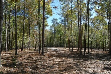 View of the gentle topography and wooded area.