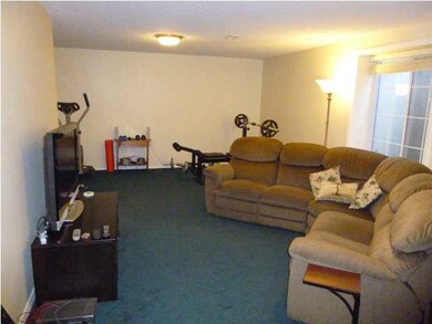 Basement Rec Room