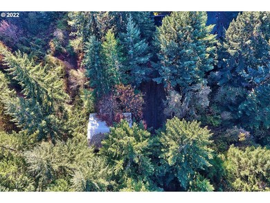 20750 Stone Rd, Sheridan, OR 97378 - photo 7