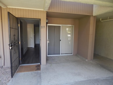 Front door and patio