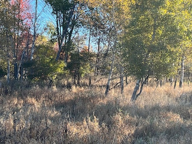 Par A Monroe Rd, Lakeview, MI 48850 - photo 7