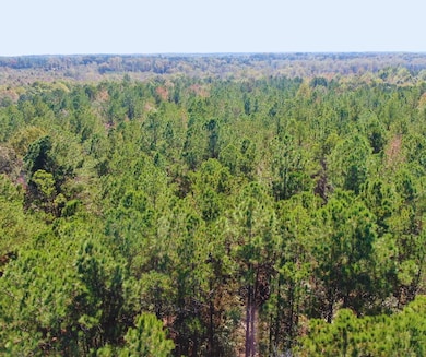 0 Highway 8, Aberdeen, MS 39730 - photo 5