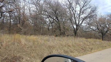 00000 Smith Rd Earp Rd, Springtown, TX 76082 - photo 6