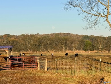 53 Acres County Road 41, Danville, AL 35619 - photo 3
