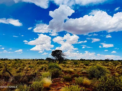 626 N Laguna Dr unit Lot 2, Valle, AZ 86046 - photo 3