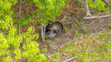 0 TRACT #4 Hwy V, Owensville, MO 65066 - photo 6