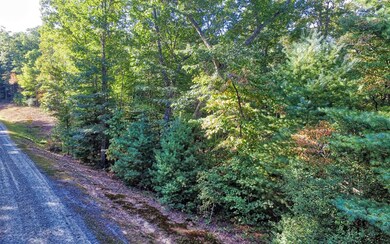Additional View